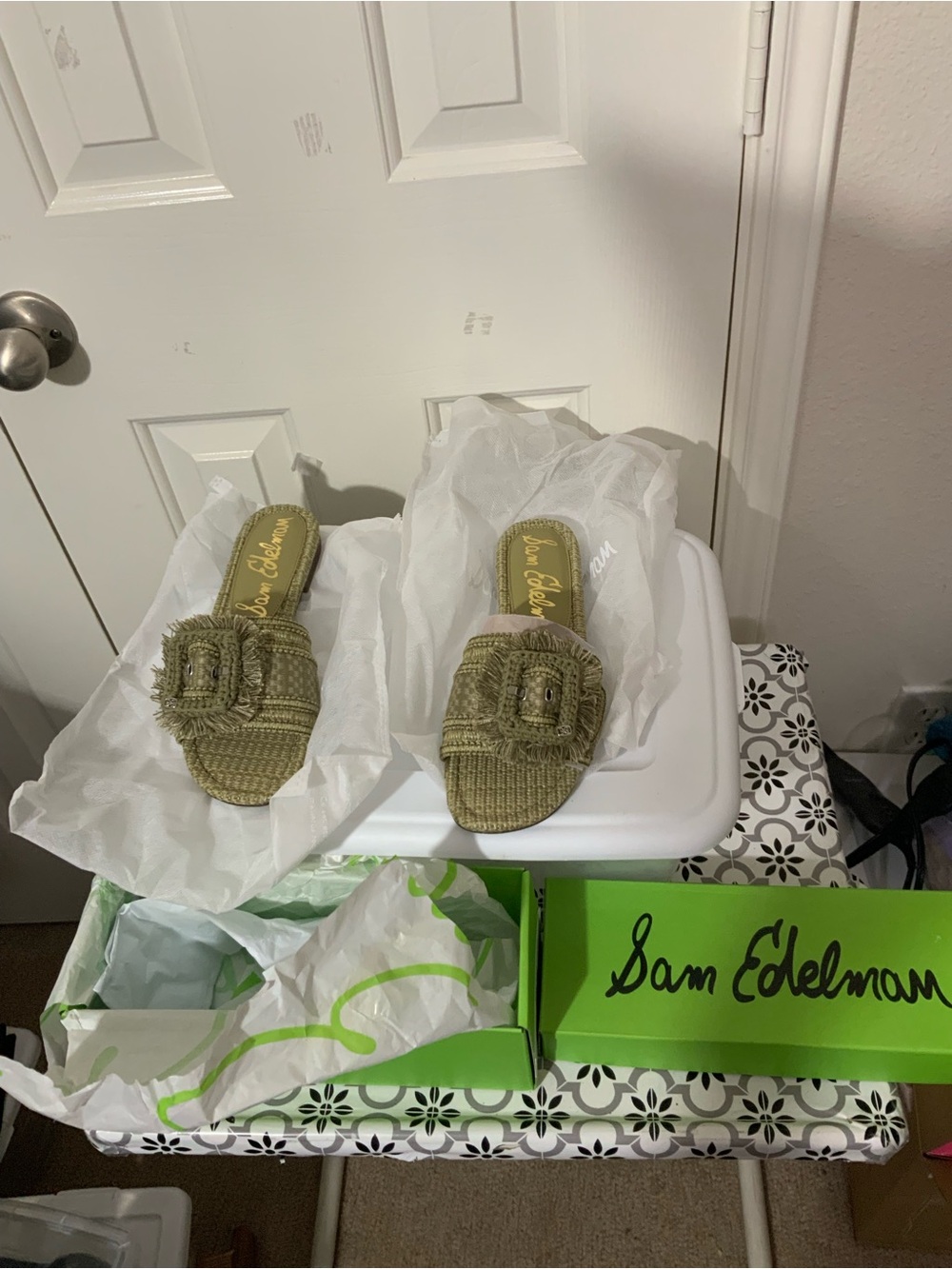 NIB With Tag Sam Edelman Bambi Playa Slide Sandal Washed Sage Faux Raffia